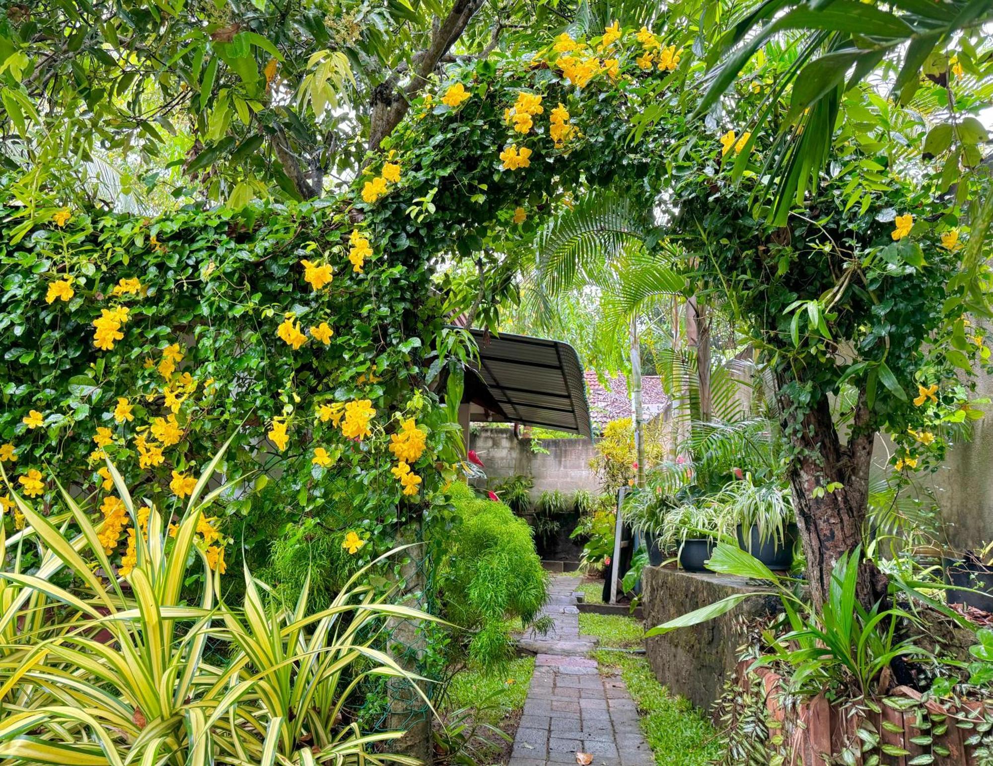 Nethmi Homestay & Restaurant Tangalle Bagian luar foto