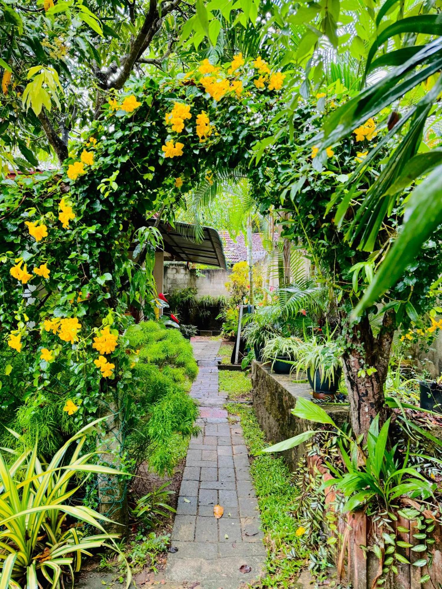 Nethmi Homestay & Restaurant Tangalle Bagian luar foto