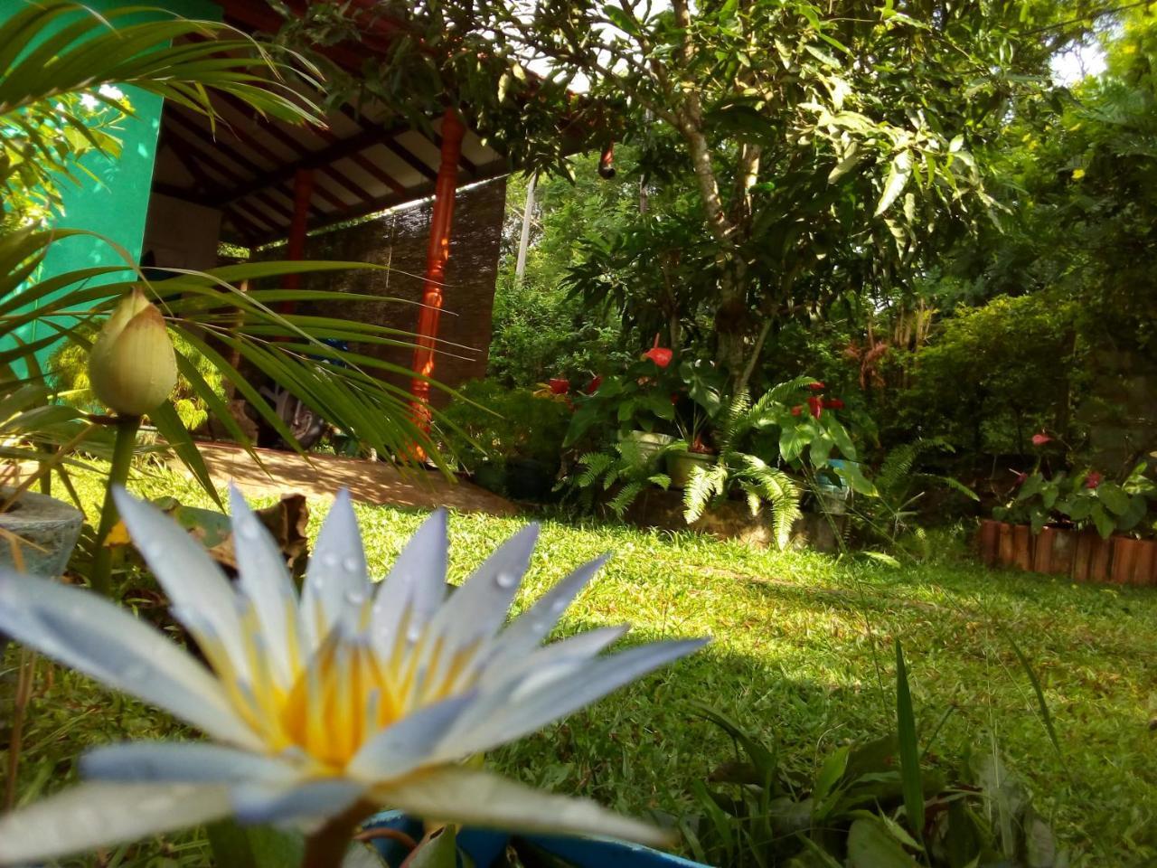 Nethmi Homestay & Restaurant Tangalle Bagian luar foto